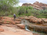 We followed the Creek